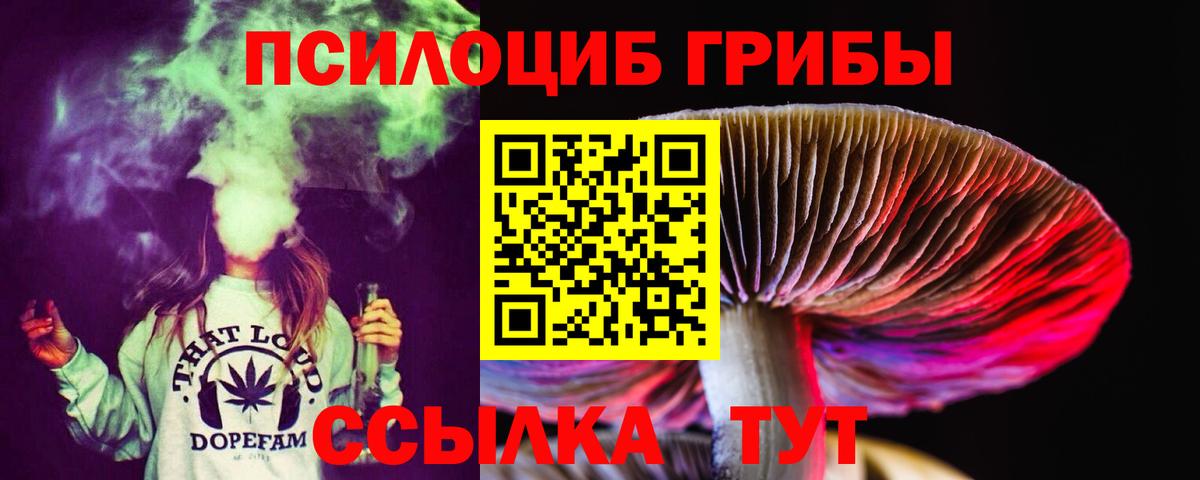 Киров  Галлюциногенные грибы Cubensis  Вход с VPN 